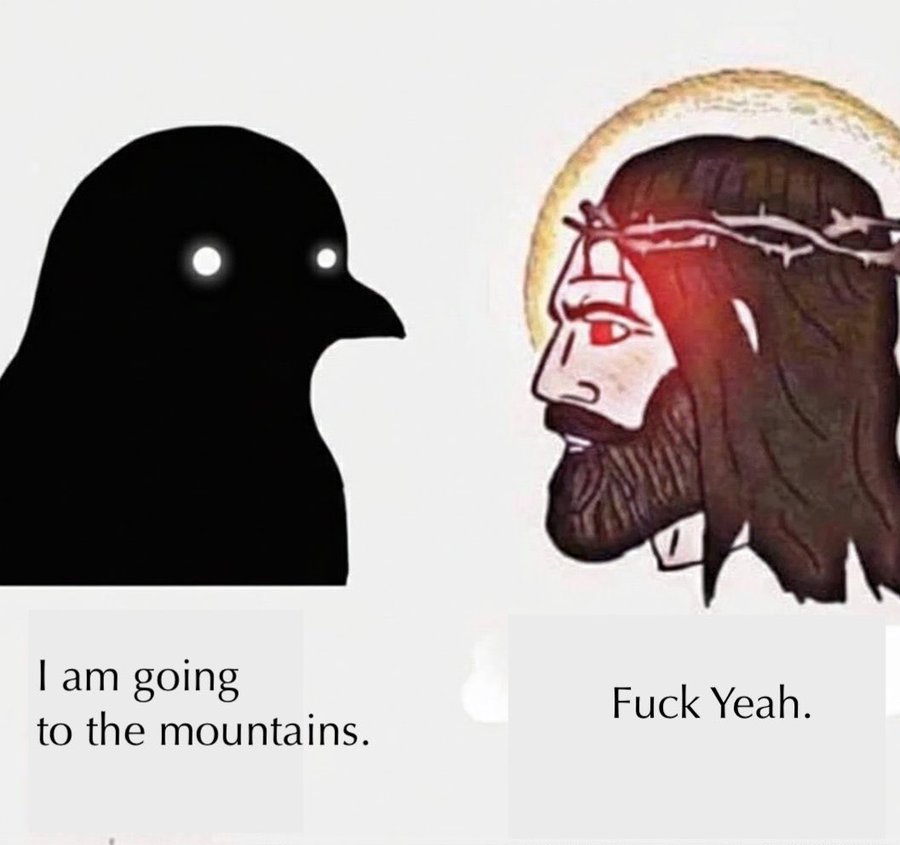 Nietzschean Penguin meme 4